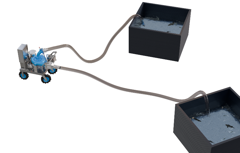 livtrans fish transferring pump